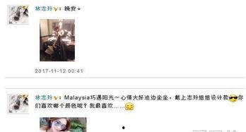 娱乐最近热门消息,最新热门事件盘点，揭秘幕后故事与精彩瞬间